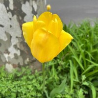 次回は24日頃に出勤予定です🩷