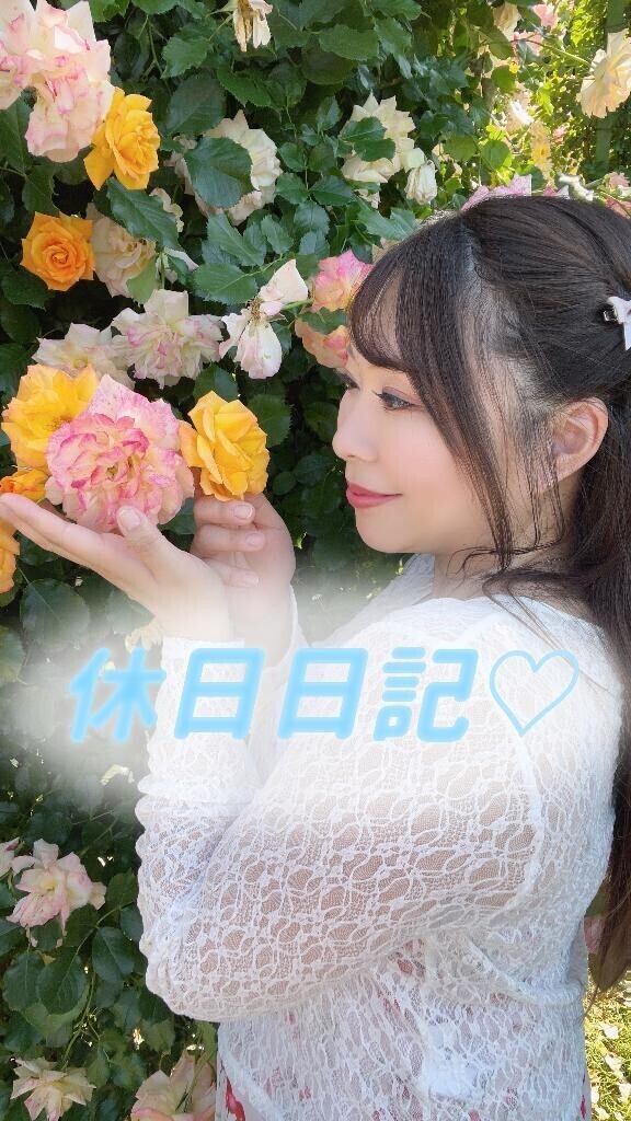 今日はここっ