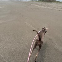 爆睡してました