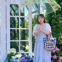 今日は