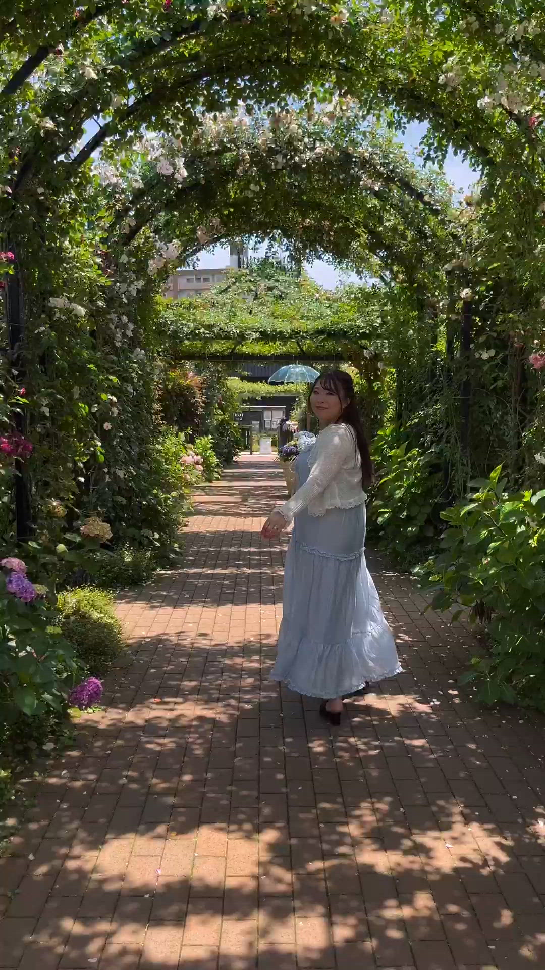 今日の動く私