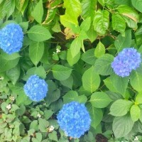 《必読》ここ最近の西船橋駅近ホテル事情
