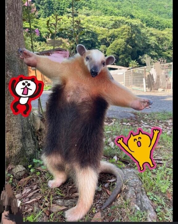 まんなかごめんなさい(*´-`)