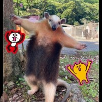 まんなかごめんなさい(*´-`)