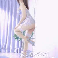 次回ご案内枠