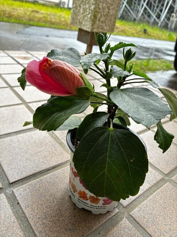 なかなか…