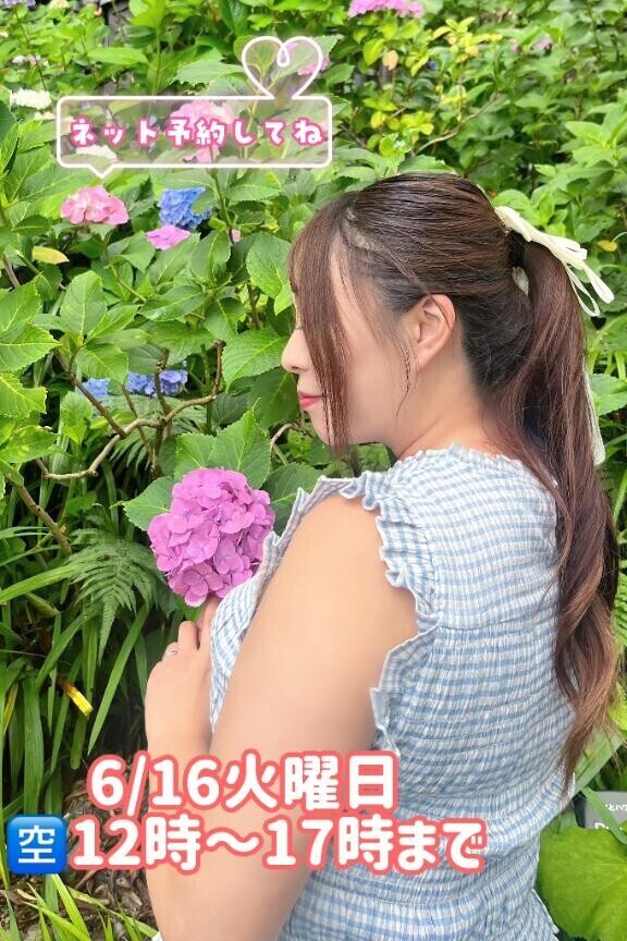今日の写真