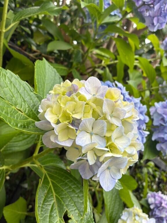 近づいてみたら…