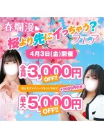 4/3開催！春爛漫?桜より先にイっちゃう？最大5000円割引！