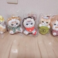 頂いた②