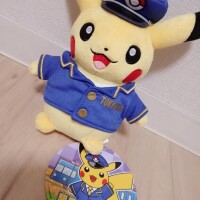 頂いた①