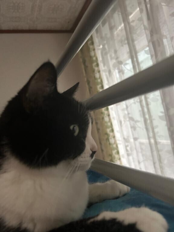 のんびり中♡