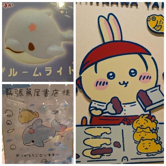 みいるかとうさぎ