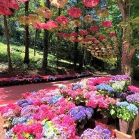 また、明日ね♡