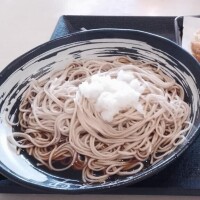 今日出勤します