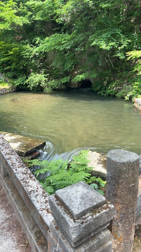 どっち？