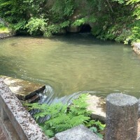 どっち？