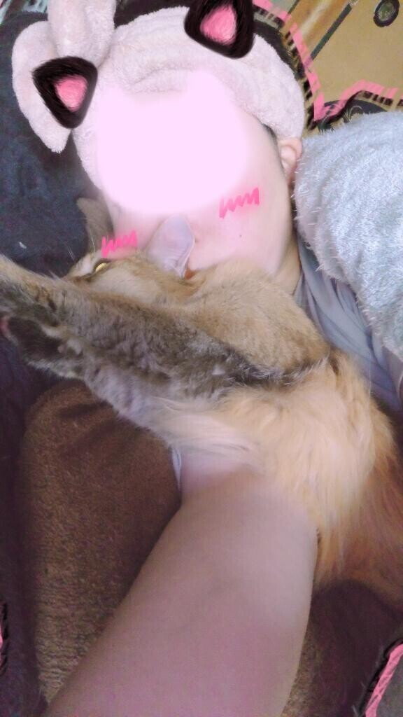捕まえてモフモフ(っ・ω・ｃ)