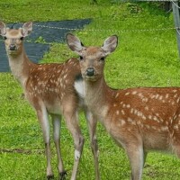 台風…足元お気をつけてお越しください
