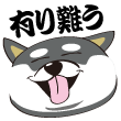 いっぱいイチャイチャしたーい！