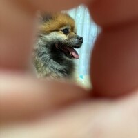7月スタート(˶ᐢᗜᐢ˶)