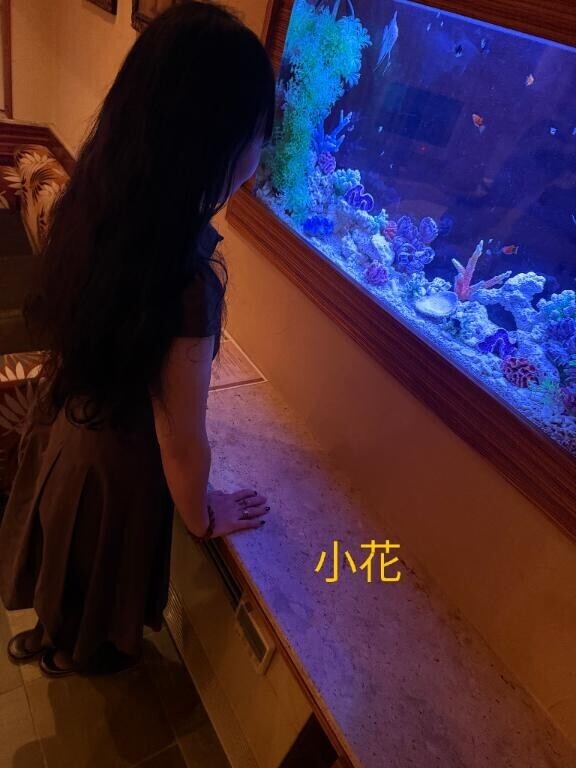 まさかの(›´ω`‹ )