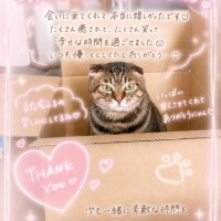•*¨*•.¸¸♬お待ち合せT様•*¨*•.¸¸♬