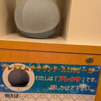 アレクサ！！