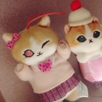 頂いた④