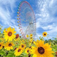 久しぶりに♡