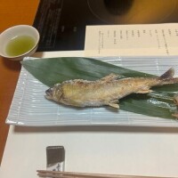 久々に