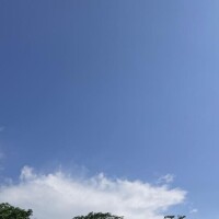 おはようございます