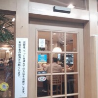 昨日のお礼