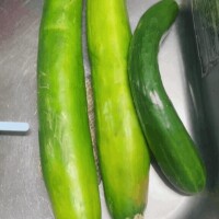 大きすぎる