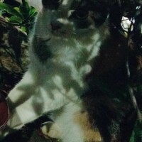 とある駅に