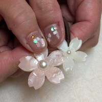 桜〜