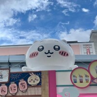 暑いね今日も