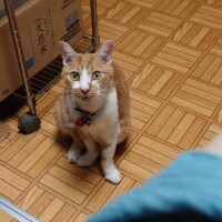 7月31日は出陣します！！