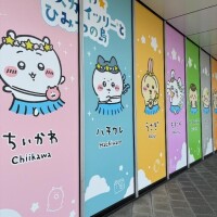 久しぶりの