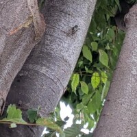 夏だね