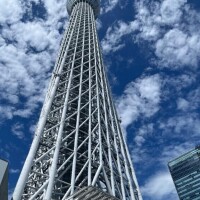 本日完売