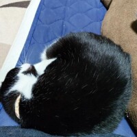 やっと１週間終わったー！！