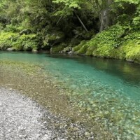湯船には…