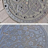 桜〜