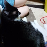 雨と雷凄すぎる(󾀄ﾟдﾟ)