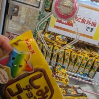 取れた！