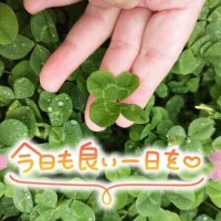 おはよう