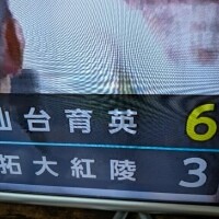 良くやった