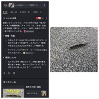 みっーけた！！