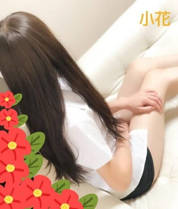 今日は